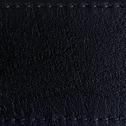 black | black strap swatch