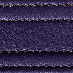 hosta | hosta strap swatch