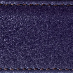 hosta strap | two-stitch wide | swatch