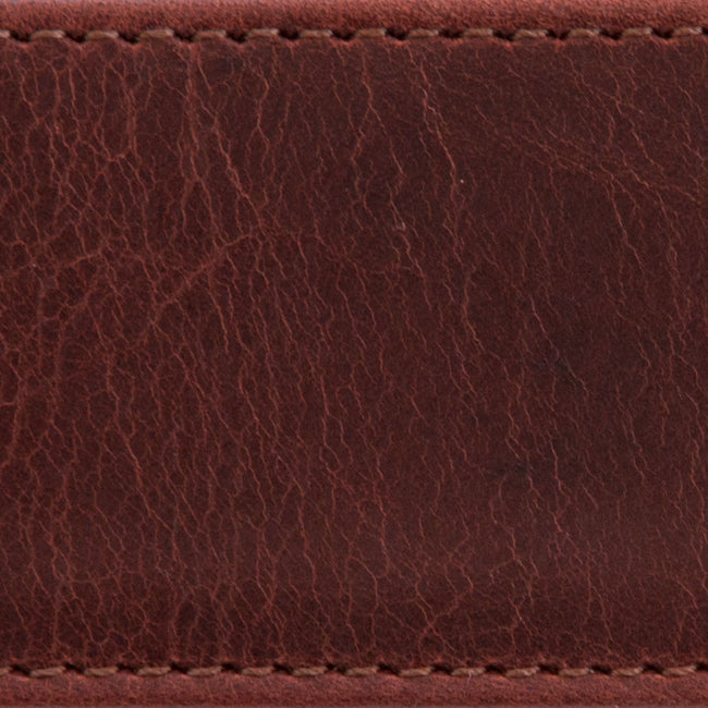 amaro 1