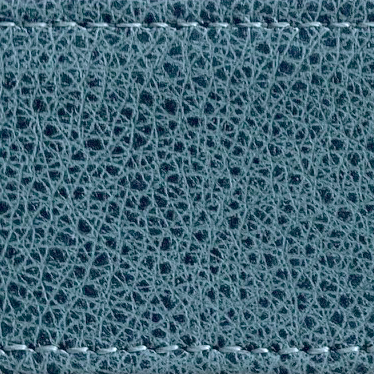 beach blue | strap swatch of beach blue