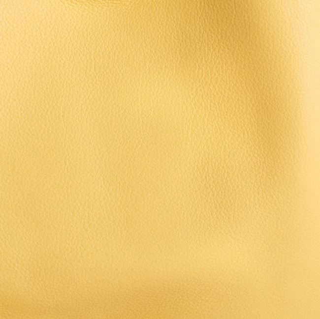 buttercup | swatch
