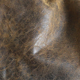 dingo | swatch