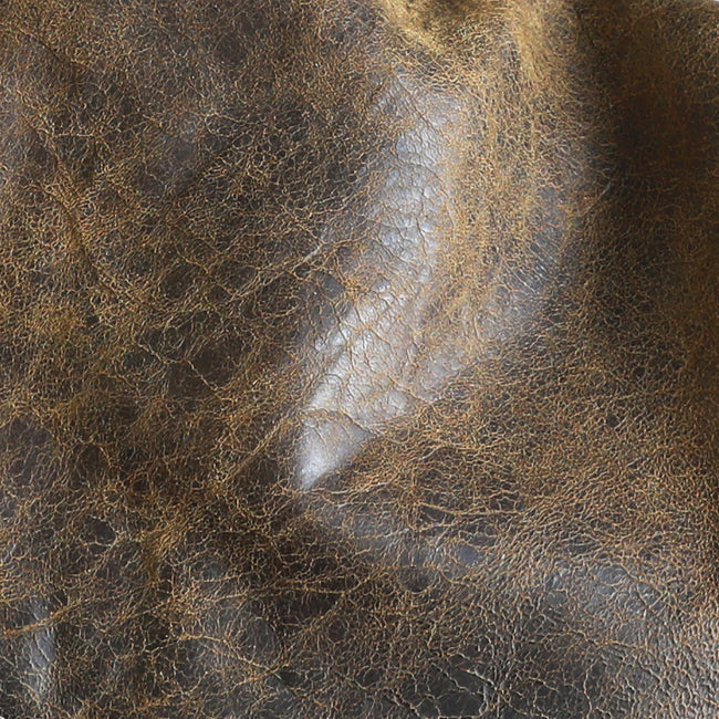 Dingo | dingo swatch