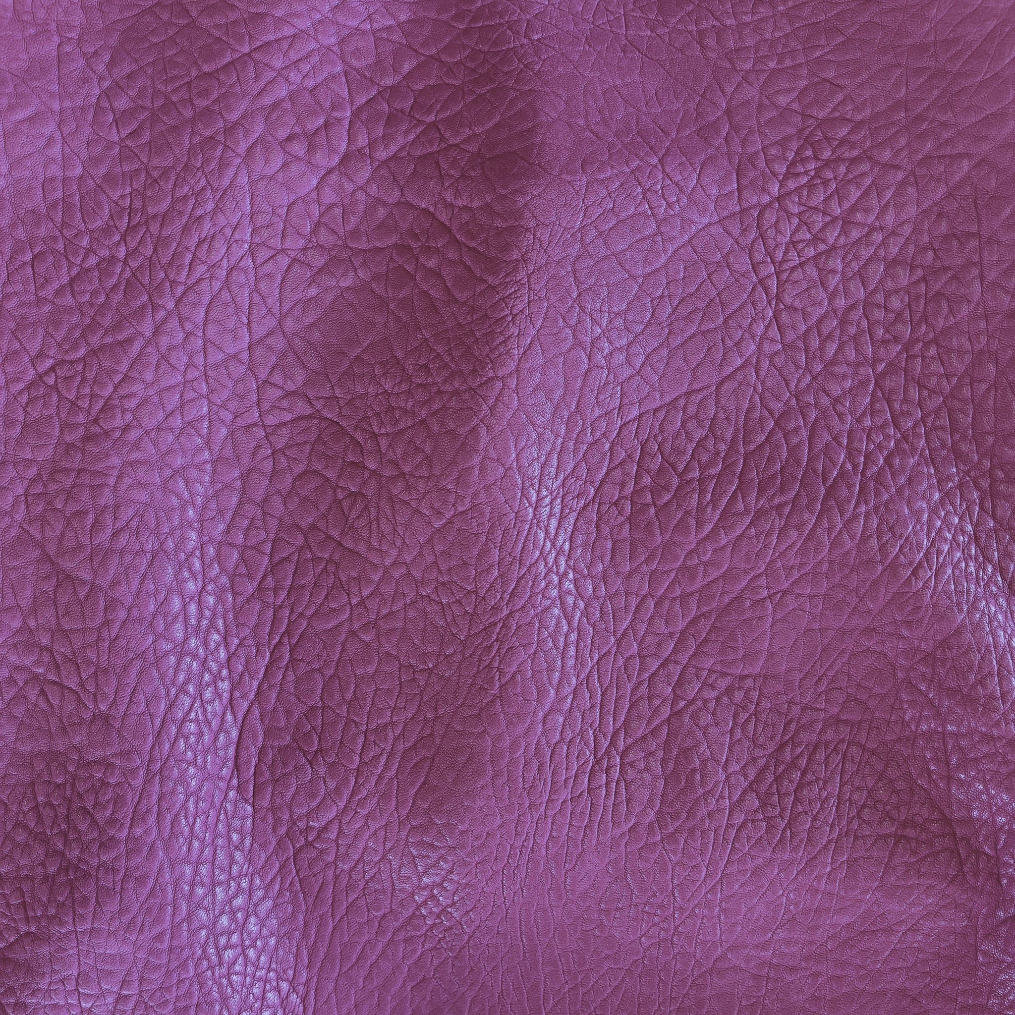 orchid pebble swatch