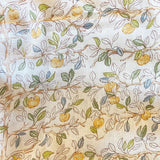 golden apple | premium linen | 2 medium vault available
