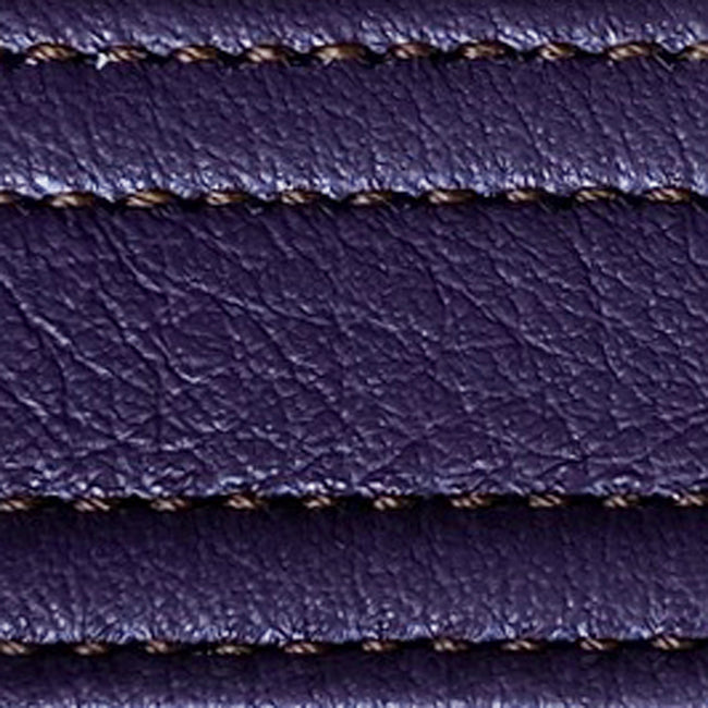 hosta | hosta strap swatch