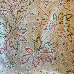 olive leaves | cotton | vault